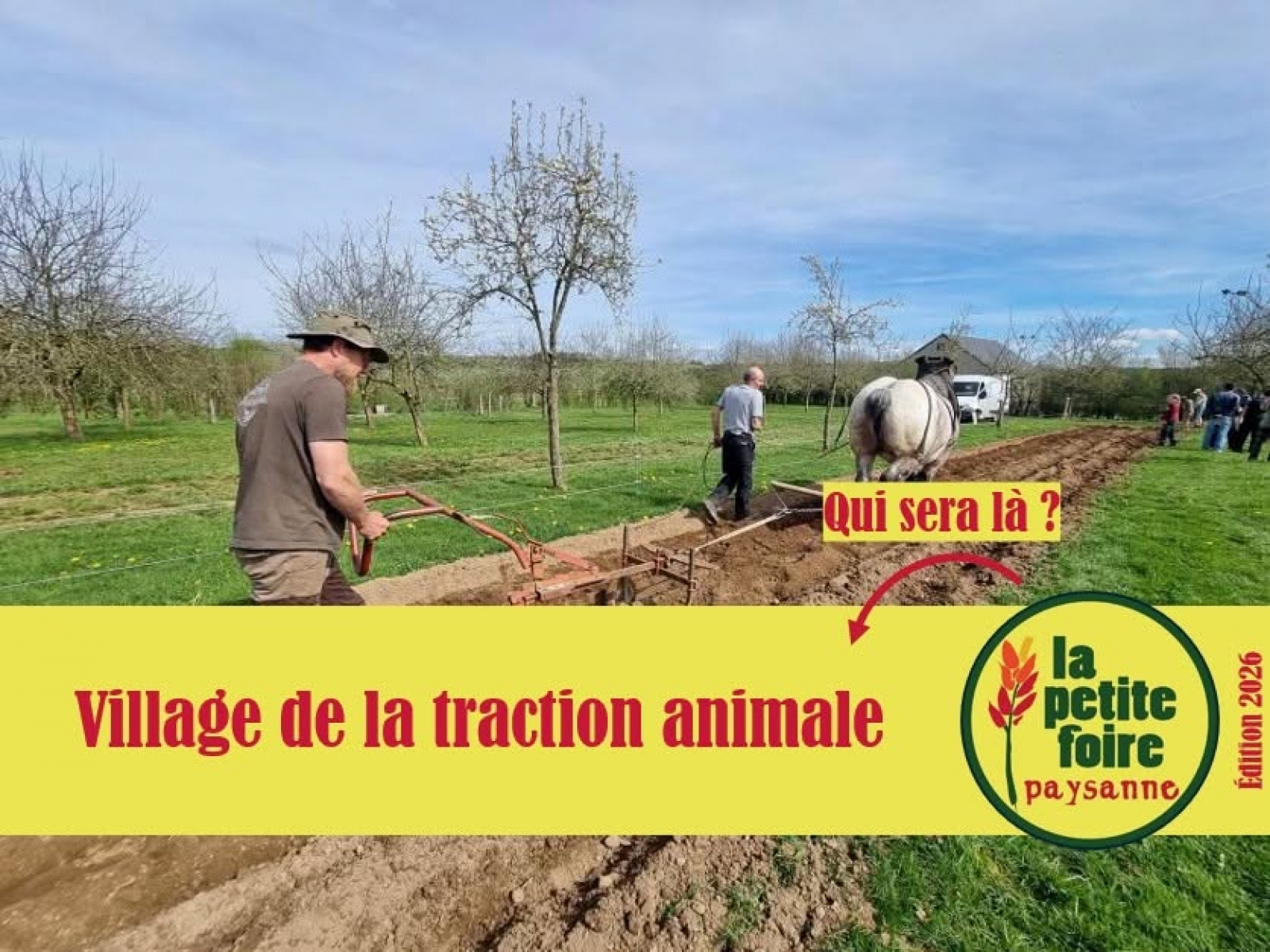 Radio Sud News