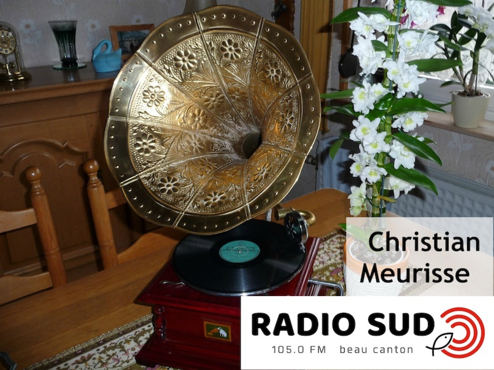 Radio Sud News